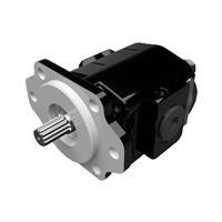 Cast Iron Pumps - PG020 Series